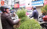 Người Hà Nội đi mua rau mùi già chiều 30 Tết